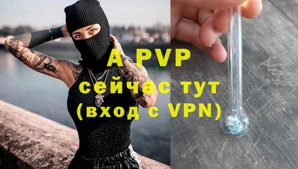 дмт Новодвинск