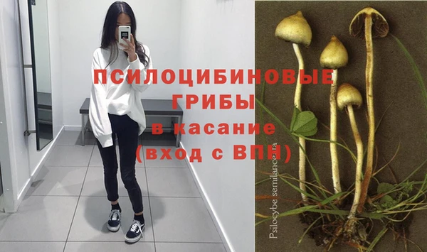 синтетический гашиш Новозыбков