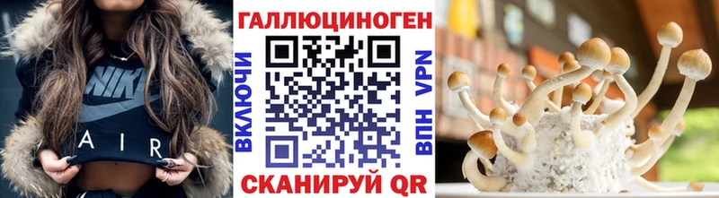 купить закладку  Горячеводский  Галлюциногенные грибы GOLDEN TEACHER 